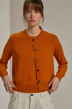 cardigan winner